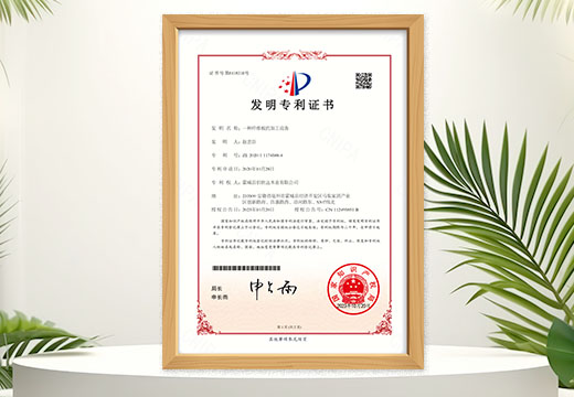 欣佰世达发明专利5